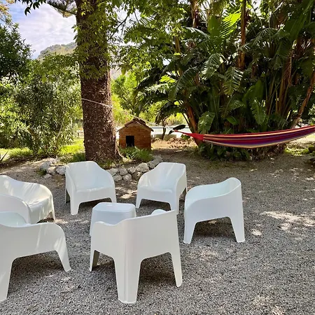 Tana Pacenzia Cefalu