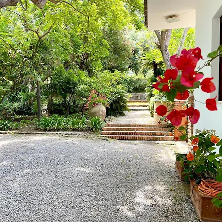 Tana Pacenzia * Cefalù